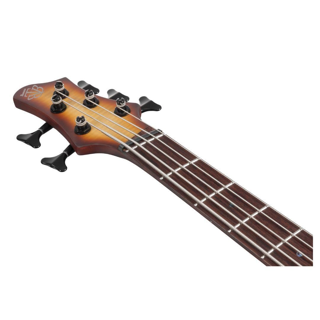 Amazon | Ibanez(アイバニーズ) エレキベース 5弦 Natural Browned